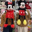 Micky mouse and mini mouse