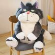 Lucifer angry cat